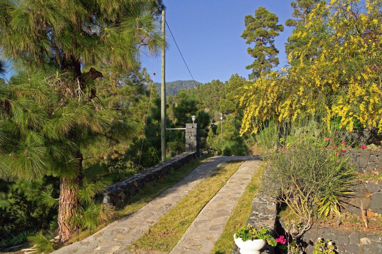 Casa Antonia Villa Tijarafe Dış mekan fotoğraf